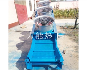 广州链板提升机