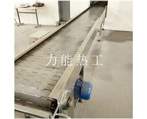 广州链板输送机